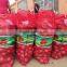 onion importers in quatar/onion importers in malaysia/fresh onion