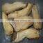 greenhouse price white eryngy pleurotus eryngii mushroom pickled in drum