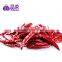 2015 Crop Dried Hot bullet Chili Pepper