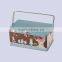 Fancy Custom Printed Packaging Use Toy Packing Cosmetics Packing Metal Lunch Tin Box With Lock And Key