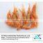 Sun dried crystal red shrimp sale