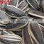 Favorable price of sunflower seeds