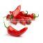 High Yield Red Hot Chili Pepper Seeds Vegetable seeds Price for sale