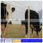 Low price Sheep and Goat Fencing for sale(Factory)
