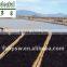 Dried Red Algae Purple Laver/Nori Sheet, Flakes, Powder Food Grade