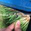 1000-100000KG/DAY Automatic Heating and Watering Hydroponic Fodder Production Line