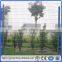 CE certificated galvanized and PVC coated Welded Wire Mesh Fence(Guangzhou Factory)