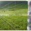 deer fence/deer fence netting/wire farm fence