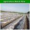 Silver-black plastic LDPE perforated agriculture mulch film