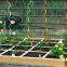 galvanized or powder coated garden tomato trellis spiral wire rod