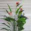 CHY030955 Artificial Bird Of Paradise plant /Landscaping Bosai plant tree/high initation Bird Of Paradise