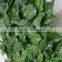 Make and sale artificial green fence and hedge
