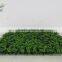 Artificial Boxwood Carpet ,green Wall Hedge Decoration