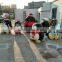 Outdoor Frp Christmas Penguin Decoration
