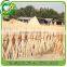 natural coconut brooms wood handle hot selling