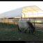 Multi-purpose Shelter , storage shed , car shelter