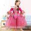 Girl beautiful dress up princess party dress