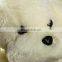 Wholesale cute white stuffed soft plush dog toy