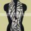 Zebra Prints silk Pashmina wool Shawls