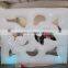 2015 hot sale Inflatable Logo Wall with LED lights