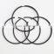 Construction Machinery NT855 Diesel Engine Part 3801755 Piston Rings
