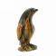 Tiger eye Animals