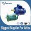sever electric motor