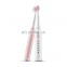 Factory Wholesale 5 Modes Portable Battery Electric Sonic Travel Toothbrush With 32000 Movements/Minute