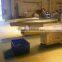 Horizontal fastback motional food conveyor