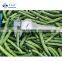 Sinocharm BRC A Approved 7-13cm Food Specification IQF Green Bean Whole Frozen Green Bean