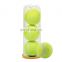 ITF Approved Cans Package Cricket Balls Training Tennis Ball Tube