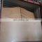Good quality commercial plywood from liao cheng city