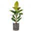 Multiuse Black Woven Water Hyacinth Plant Holder Set Of 2 Storage Laundry  Planter Basket With Easily Carring Handle