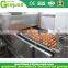 Top Quality commercial egg washing machine