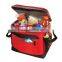 Durable Nylon Insulated Collapsible Cooler Bag PEVA Liner Collapsible Cooler Bag With Logo