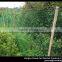 New Style chicken poultry fence netting