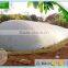 industrial biogas digester