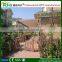 Modern pergola with good price wood plastic composite decks
