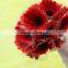 Fragrant aroma hot-sale flowers bouquet gerbera