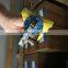 Watts T/P Relief Valve