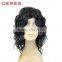 11inch kinky curly wig lace front virgin remy mink brazilian hair wig for black women