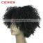 overnight delivery cheap wholesale price 100 high temperature fiber synthetic lace front wig for black women kinky curly                        
                                                Quality Choice