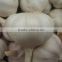 2015 new crop Pure White Garlic 5cm