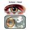 wholesale15.00 mm yearly korea eye contact lenses /cosmetic contact lens