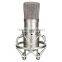 Network Karaoke Recording Condenser Microphone,Professional Karaoke Recording Microphone,Cardioid Condenser Recording Microphone