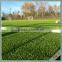 AVG Manufacture Green Color Best Grasses 4g Artificial Football Lawn Turf