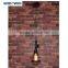 Colorful Edison Bulb Industrial Vintage Cage Pendant Light in Bronze