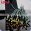 LIDORE China LED New Products Yellow Holiday Decorative Solar String Light