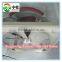 3520 eggs hatching full automatic egg incubator hatching machine