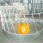 hot dip galvanized sheep feeder ,hay feeder